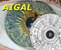 Iridology – Software to Locate the Signs in the Iris